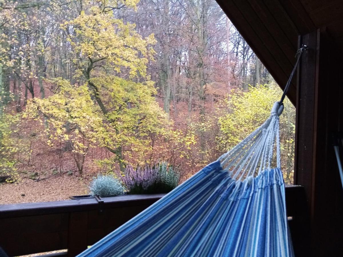 Haus Am Wald Klingberg Apartment Екстериор снимка
